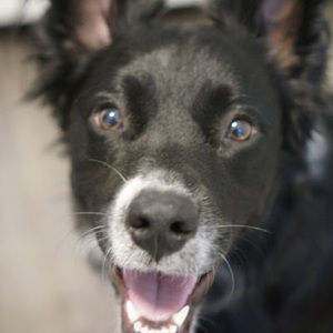 Meet your Posher, Hilary